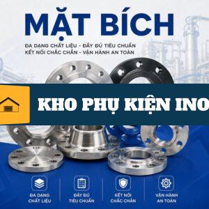 cac loai mat bich pho bien hien nay