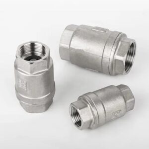 Van một chiều lò xo inox 304/316 DN15–DN200 1 van mot chieu lo xo inox 316